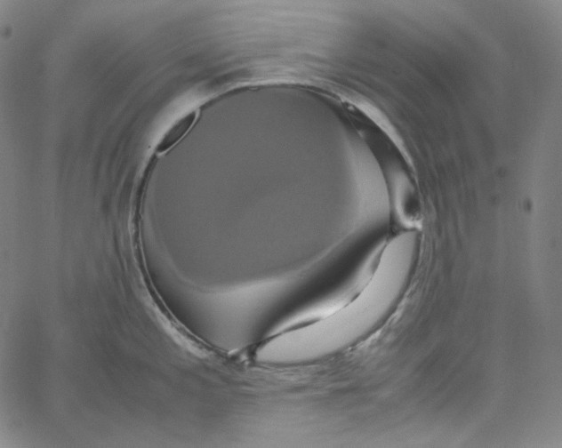 X0000062621197200601181647