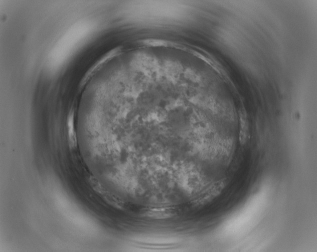 X0000062621198200601181647