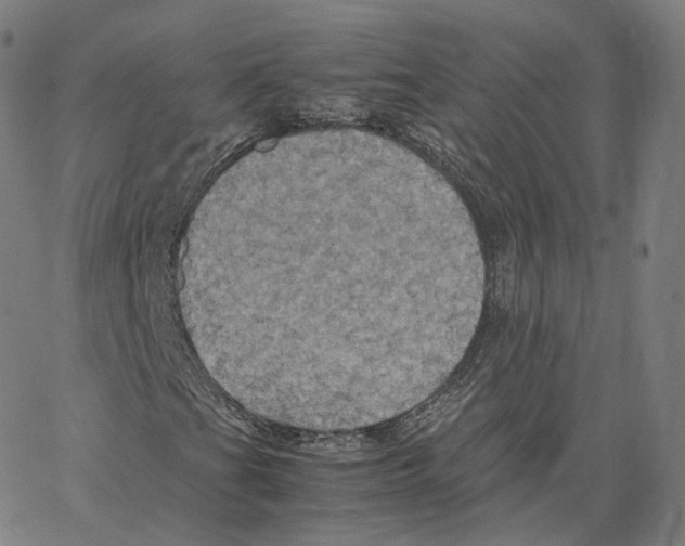 X0000062621201200601181646