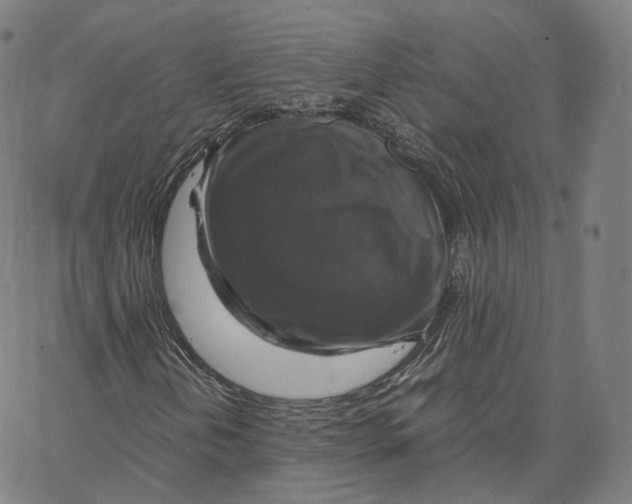 X0000062621202200601181646