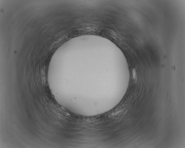 X0000062621203200601181646