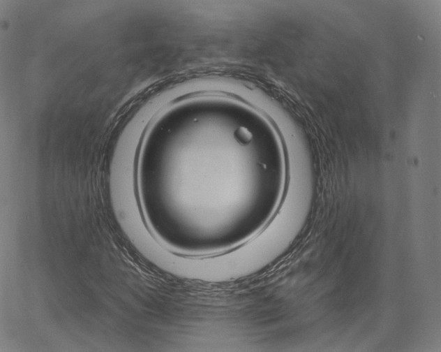 X0000062621206200601181646