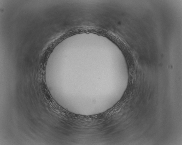 X0000062621207200601181646