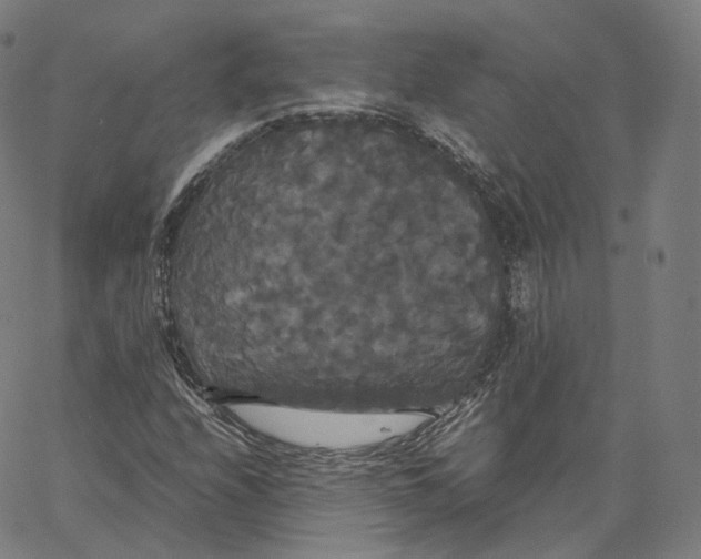 X0000062621208200601181646