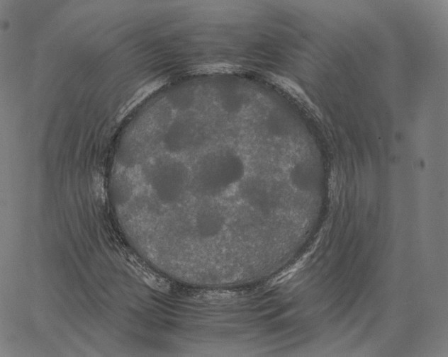 X0000062621209200601181646