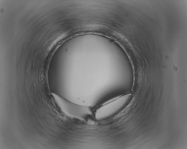 X0000062621210200601181646