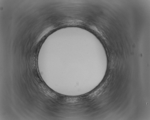 X0000062621211200601181646