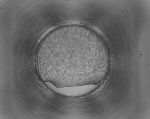 X0000062621212200601181646