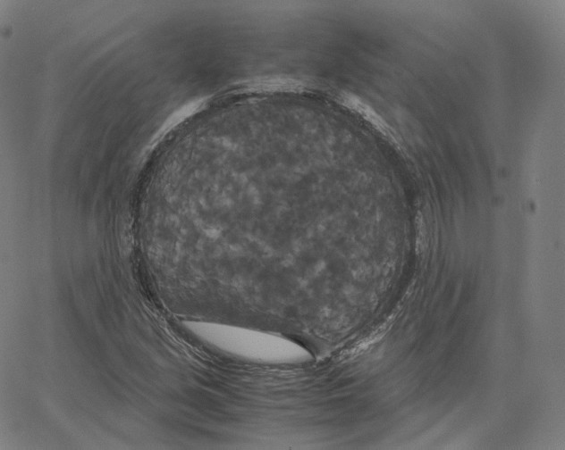 X0000062621213200601181646