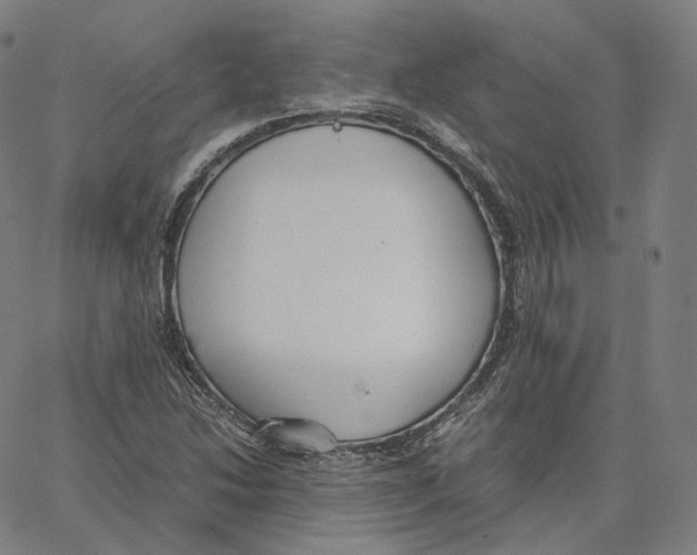 X0000062621214200601181646