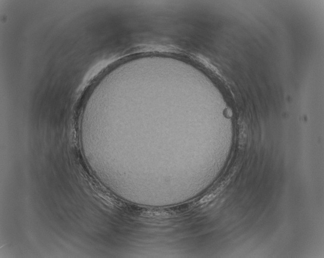 X0000062621215200601181646