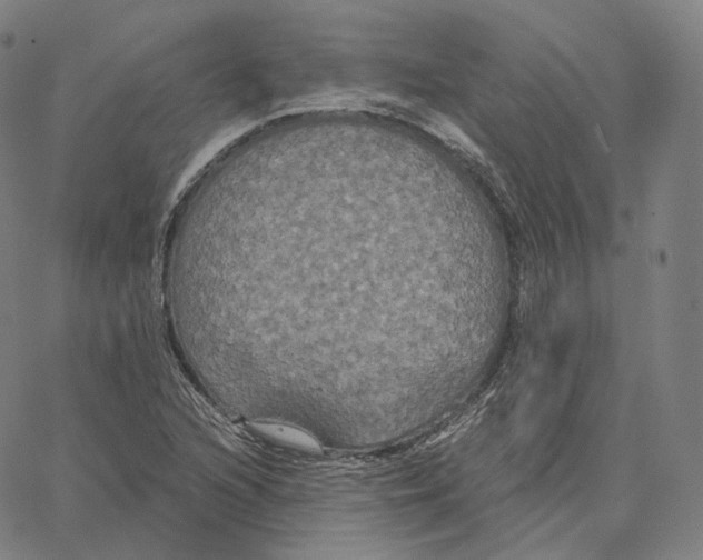 X0000062621216200601181646