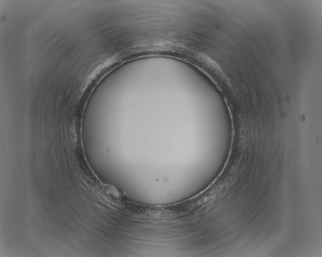 X0000062621218200601181646