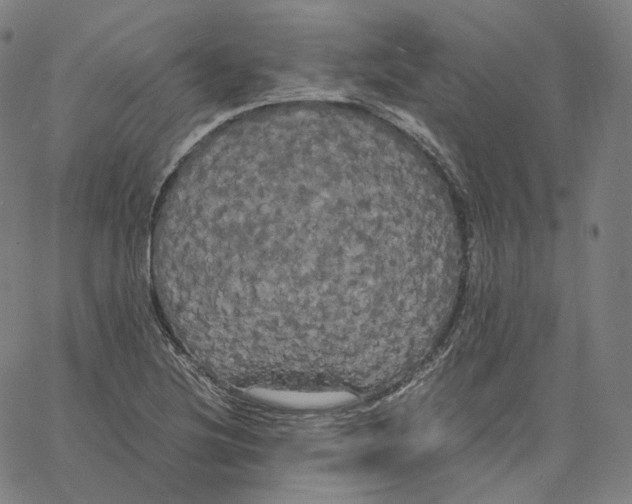 X0000062621220200601181646