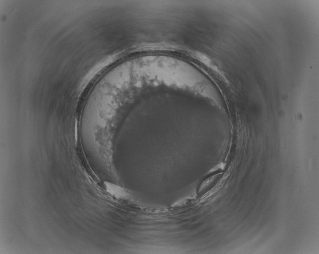 X0000062621221200601181646