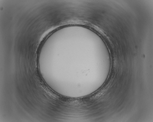 X0000062621222200601181646