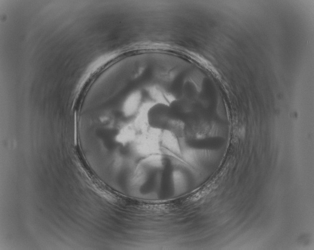 X0000062621223200601181646