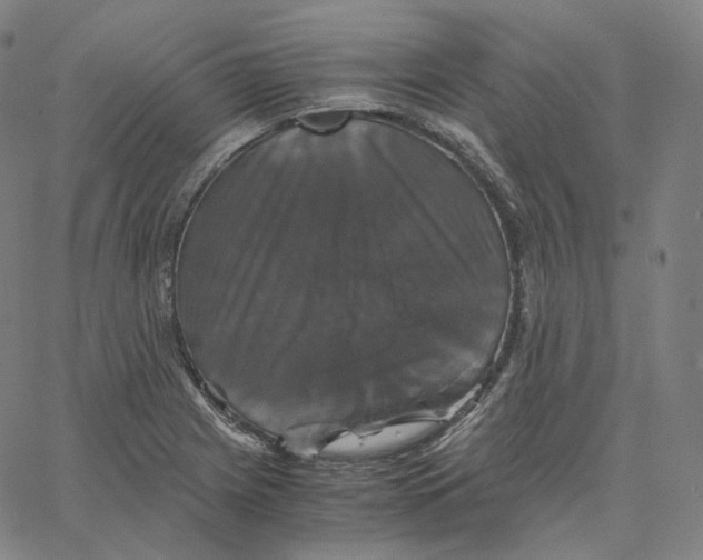 X0000062621225200601181646