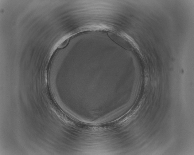 X0000062621226200601181646