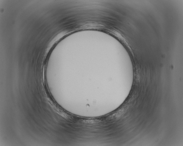 X0000062621227200601181646