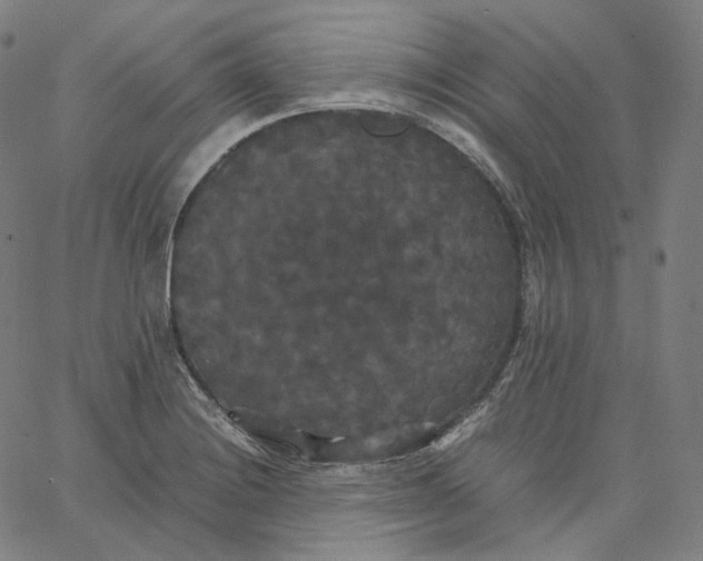 X0000062621228200601181646