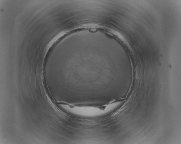 X0000062621229200601181646