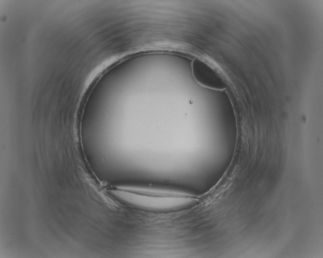 X0000062621230200601181646