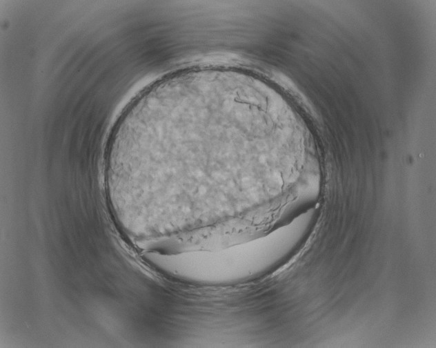 X0000062621232200601181646