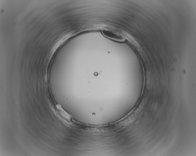 X0000062621234200601181646