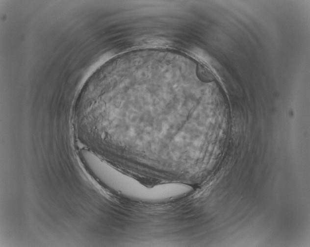 X0000062621235200601181646