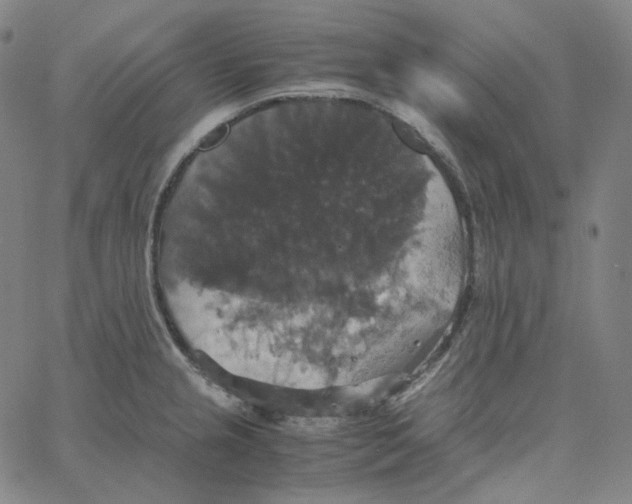 X0000062621237200601181646