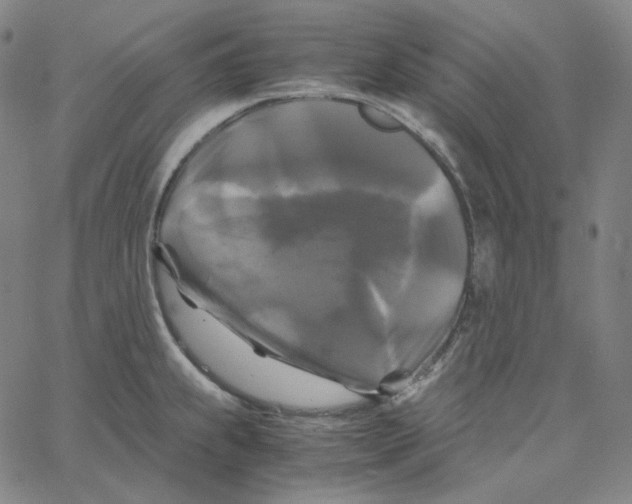 X0000062621239200601181646