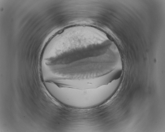 X0000062621240200601181646