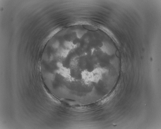 X0000062621241200601181646