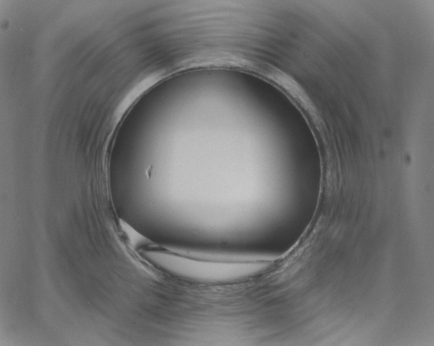 X0000062621242200601181646