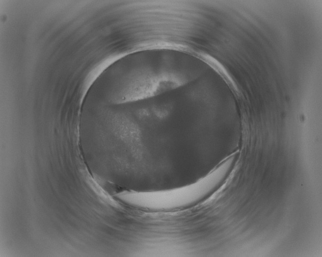 X0000062621244200601181646