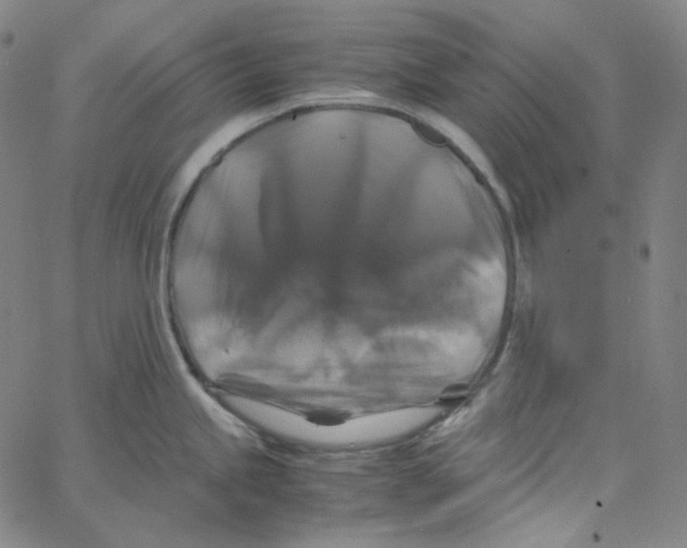 X0000062621245200601181646