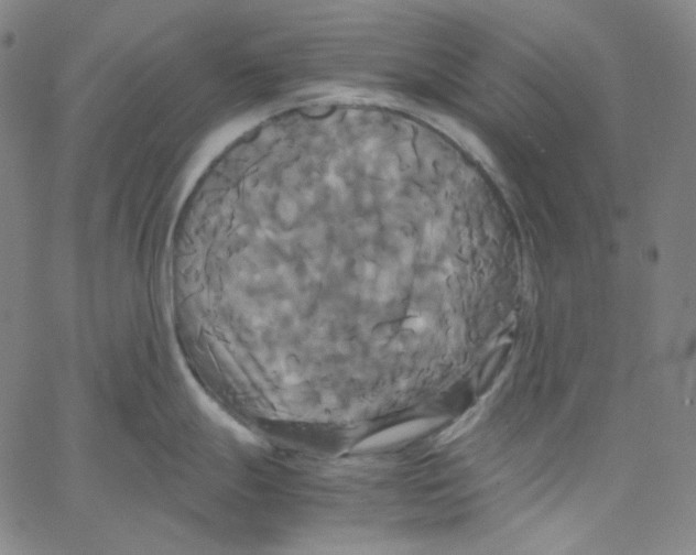 X0000062621247200601181646