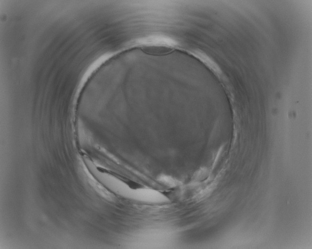 X0000062621248200601181646