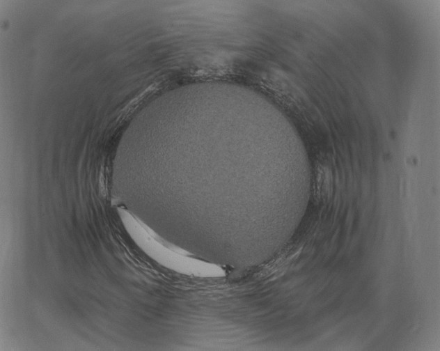 X0000062621250200601181646