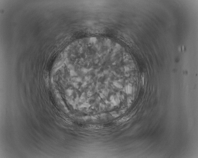 X0000062621251200601181646