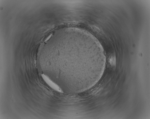 X0000062621252200601181646