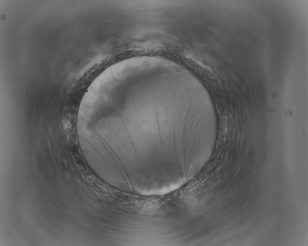 X0000062621254200601181646