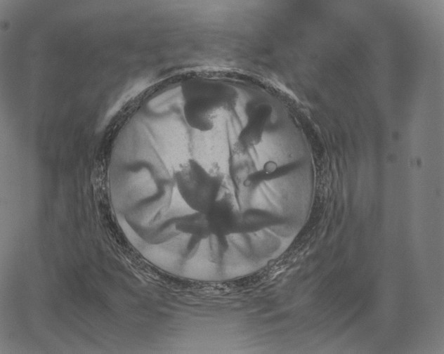 X0000062621255200601181646