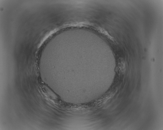 X0000062621256200601181646