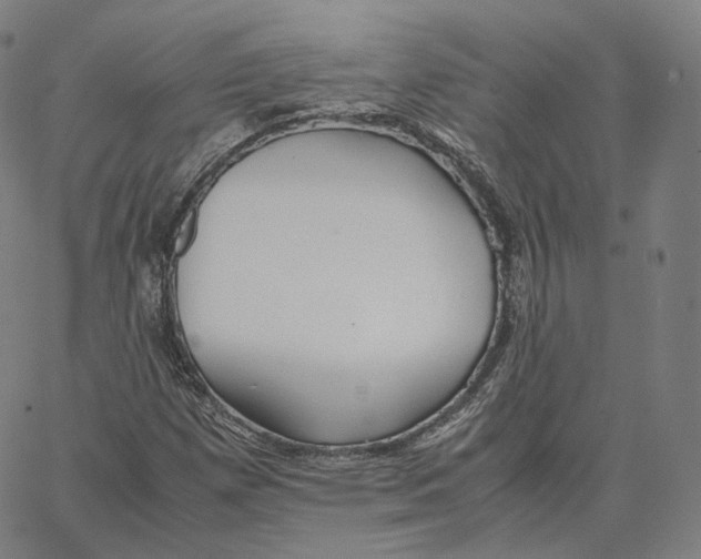 X0000062621257200601181646