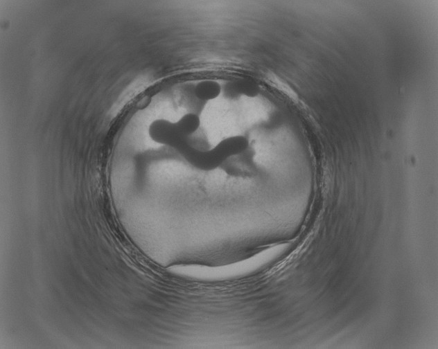 X0000062621259200601181646