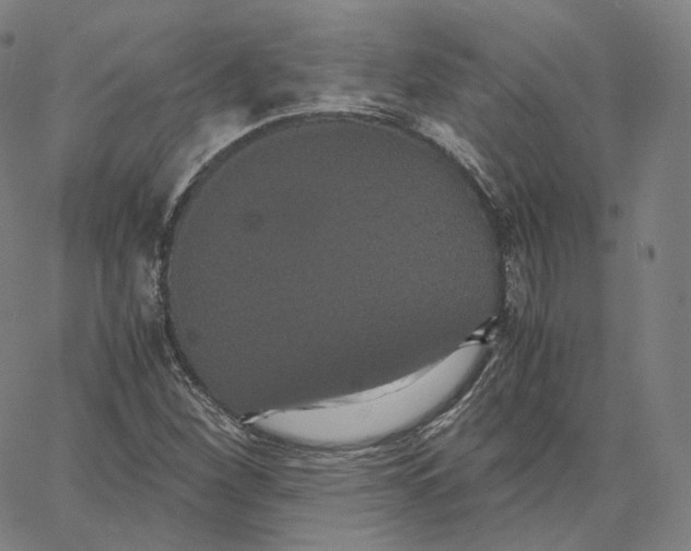 X0000062621260200601181646