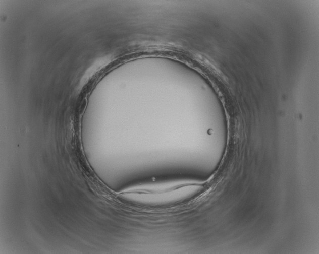 X0000062621261200601181646