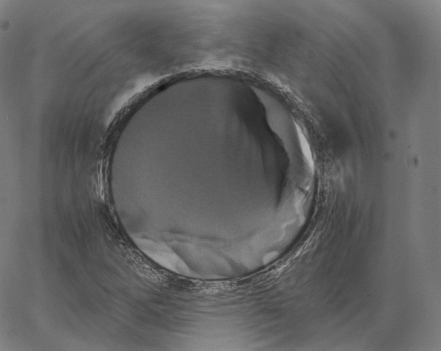 X0000062621262200601181646